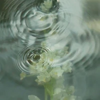 Hệ thống Đại Nhân