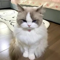 nhỏ t/g