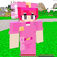 Hiha_police