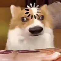 t/g bị lag