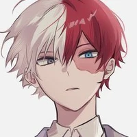 | Todoroki Shoto |