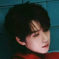 Hạ Tuấn Lâm