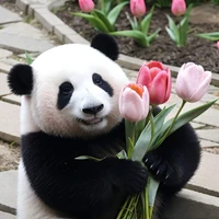 tác giả