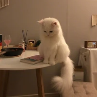 Tui yêu trai gây❤