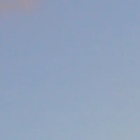 Mọi người