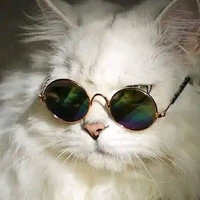 Tiểu bảo bảo (T/G)