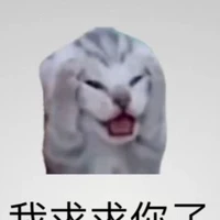 hệ thống 09(sora)