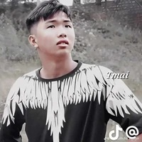 phạm Đình hòa