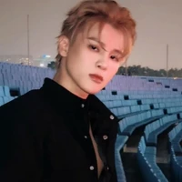 Phạm Đình Thái Ngân