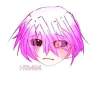 h1h404