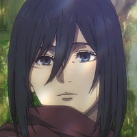 mikasa