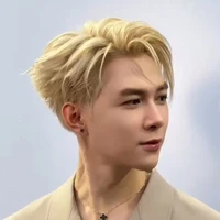 Bùi Anh Tú