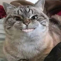 All(theo trường hợp)