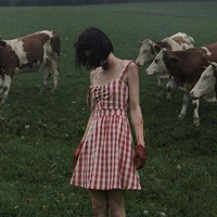 Dolly Verity
