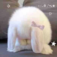 T/g skibidi toilet sigma boi