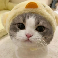 phương