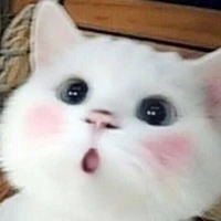 nam