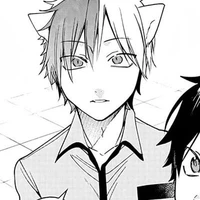 akisame tamao