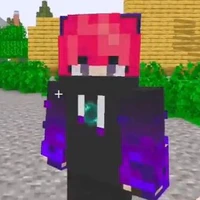 hiha enderman