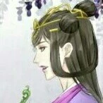 Ngu Tử Diên - Giang Phu Nhân