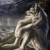 t/g bị điên 🤪