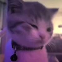 Thu H