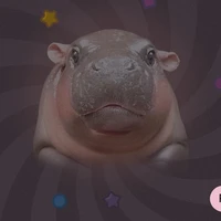 bimbim