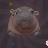 bimbim
