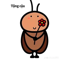 bác sĩ tiểu Cường 