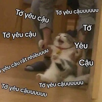 (t/g)