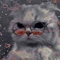 All lớp trừ Hạ