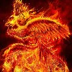 phượng hoàng lửa - tiểu hỏa