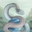bạch xà - tiểu bạch