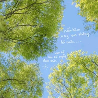 All