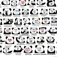 NV nam, nữ bí ẩn