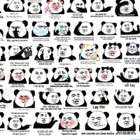 NV nam, nữ bí ẩn