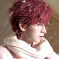 Hạ Tuấn Lâm