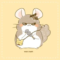 Hệ thống _rom