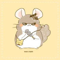 Hệ thống _rom