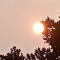 all ( - những người cần -)