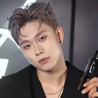 dương domic