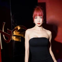 VNA vũ ngọc anh_336/3