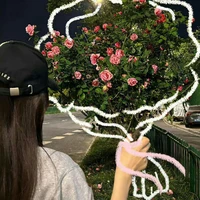 Linh Chi