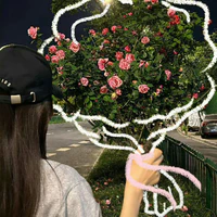 Linh Chi