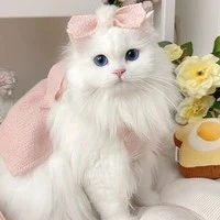 Hệ thống _ BƠ
