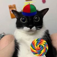 lollipop cat