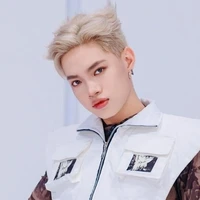 Pháp Kiều(Nguyễn Thanh Pháp)