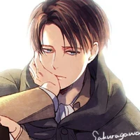 Levi