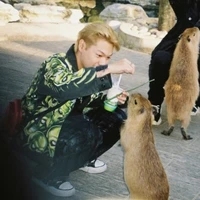 𝙑𝙪 𝙏𝙧𝙪𝙤𝙣𝙜 𝙂𝙞𝙖𝙣𝙜