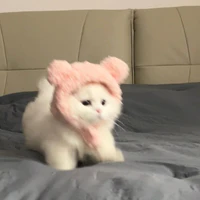 Nhỏ T/g